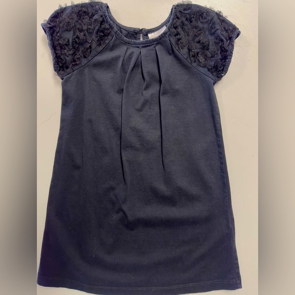 Hanna Andersson Tulle Rosette Sleeve Jersey Knit Dress 110 5 - Picture 1 of 6